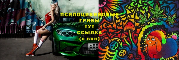 кокс Инсар