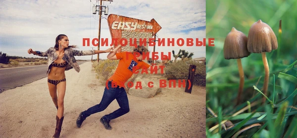 кокс Инсар
