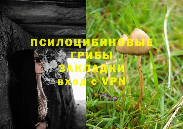 spice Иннополис
