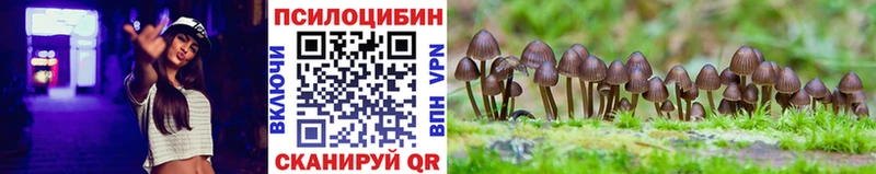 Галлюциногенные грибы GOLDEN TEACHER  Купить  Удачный 
